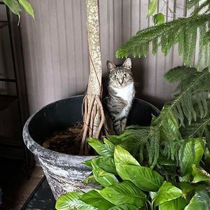 Meet your Posher, Tami